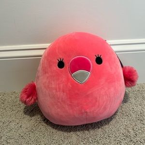 Pretty pink flamingo named Cookie!